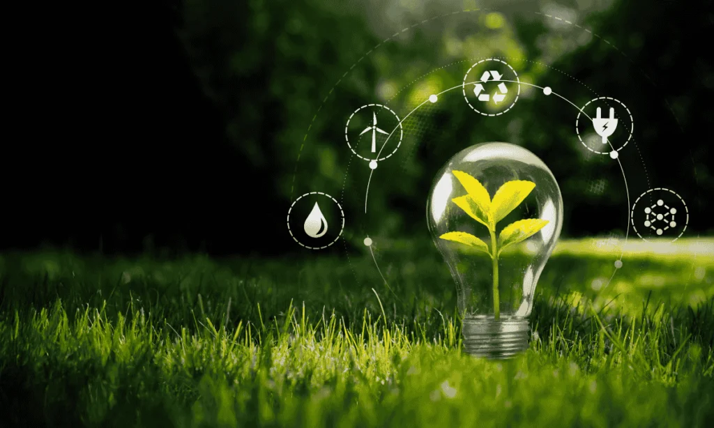 Lampadina con pianta verde simbolo di innovazione sostenibile