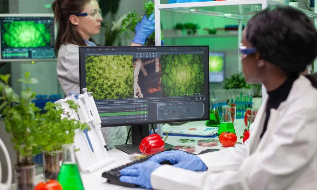 ricerca scientifica cannabis