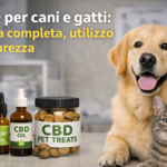 Cane e gatto con prodotti a base di CBD, rappresentazione dell’utilizzo e della sicurezza del CBD negli animali domestici