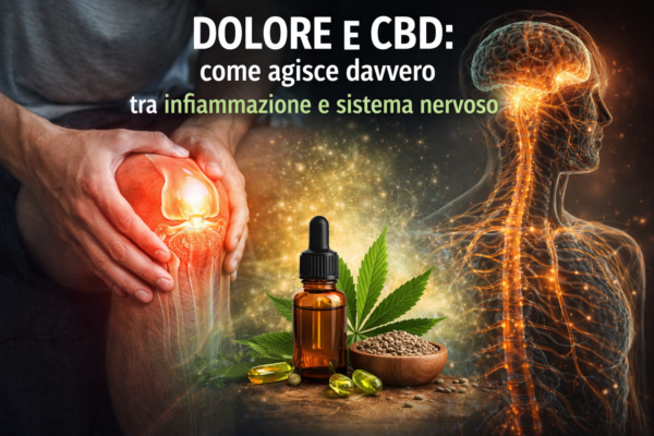Dolore e CBD: come agisce davvero tra infiammazione e sistema nervoso