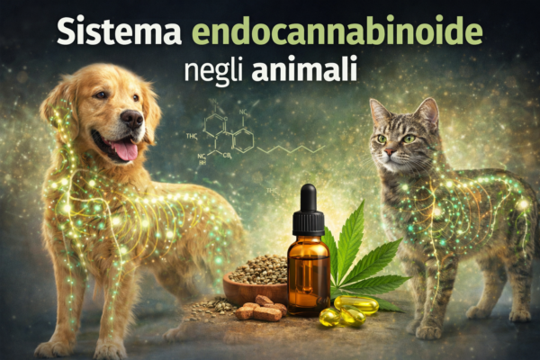 Sistema endocannabinoide negli animali: cosa sappiamo oggi
